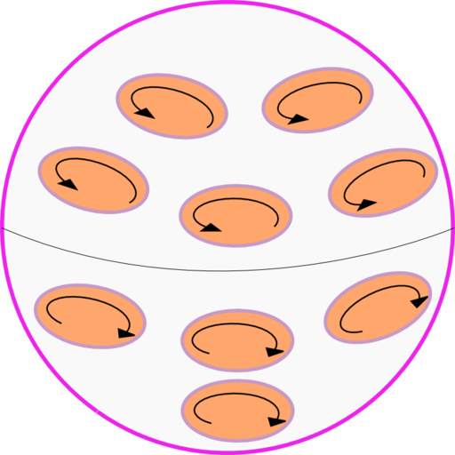 Dynamo theory and how the Earth's magnetic field is generated