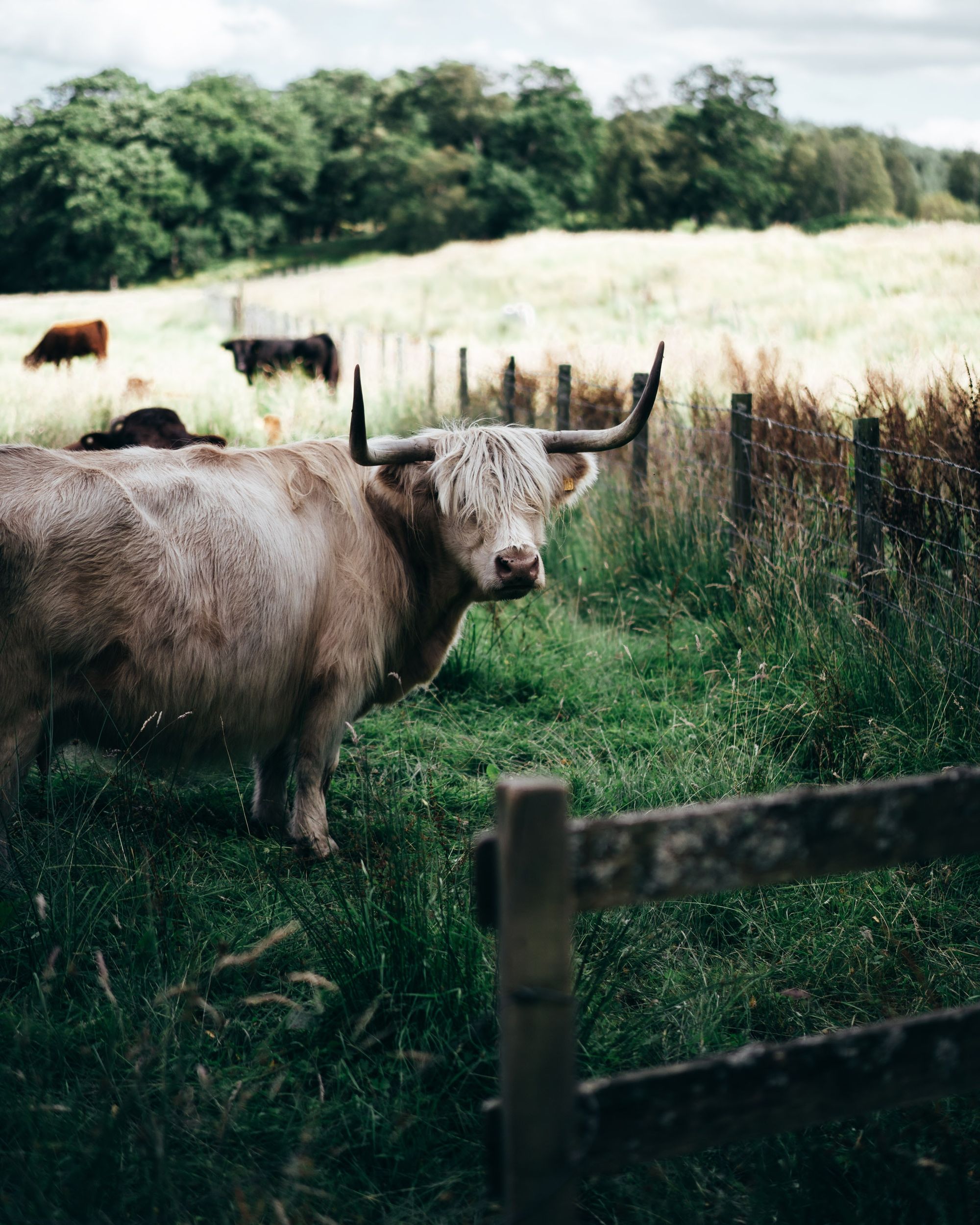 Biodiversity and animals with crops