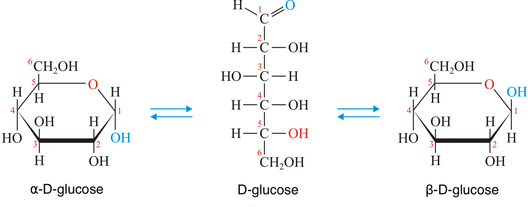 Sugar: A Sweet Poison Or A Chemically Diverse Nutrient?