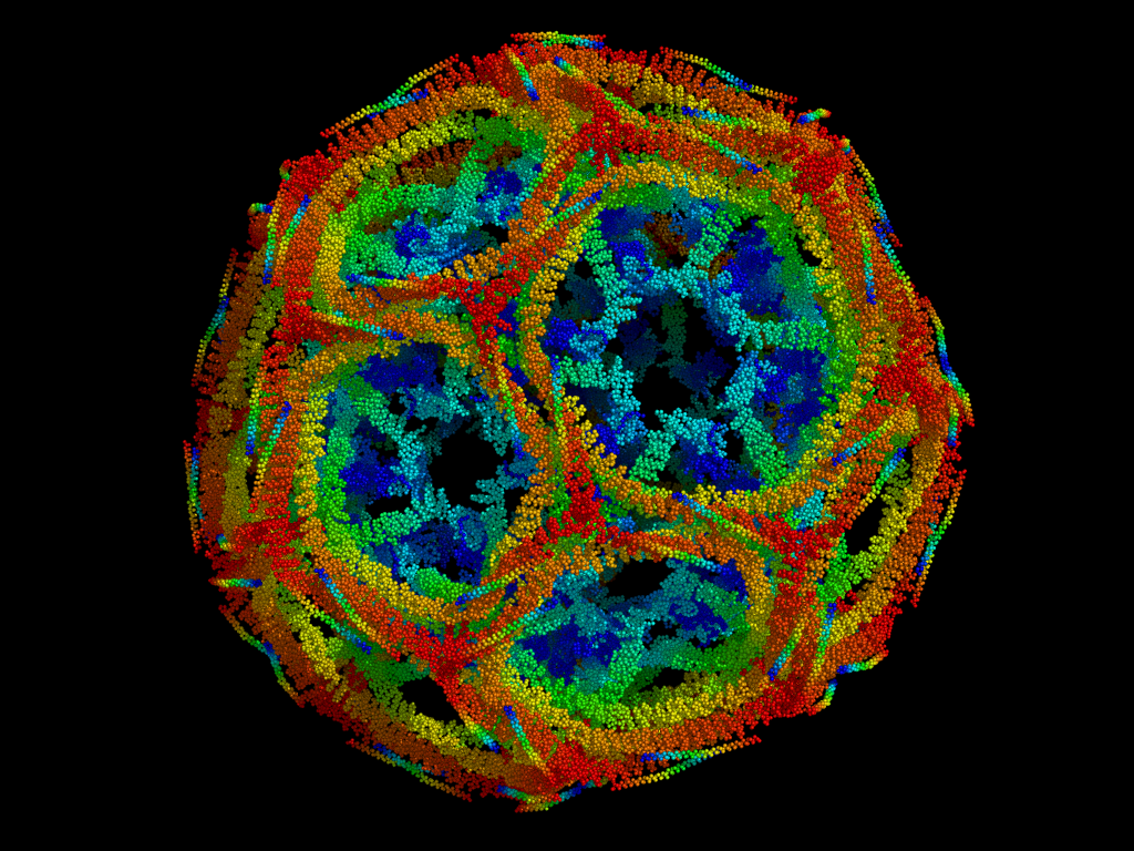 Clathrin coat forming hexagons and (at least 12) pentagons, which can result in a truncated icosahedron