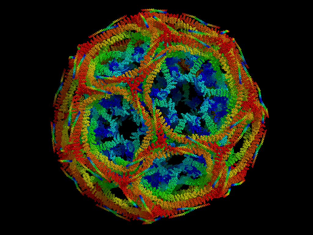 Building Bubbles: Clathrin-Mediated Endocytosis