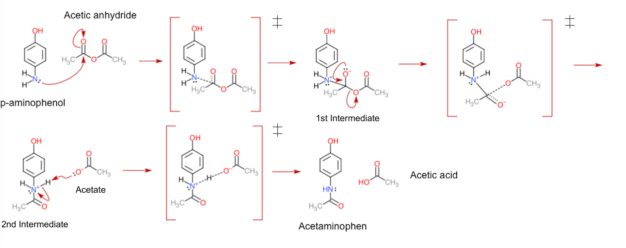 The reaction mechanism of acetaminophen/tylenol synthesis, including all transition states