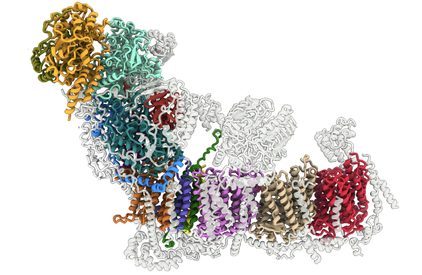 Disruptive Science & The Electron Microscopy Revolution