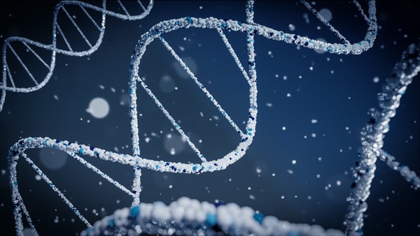 Natural selection arising from meiotic division with crossing over and mutations, causing speciation and genetic variation